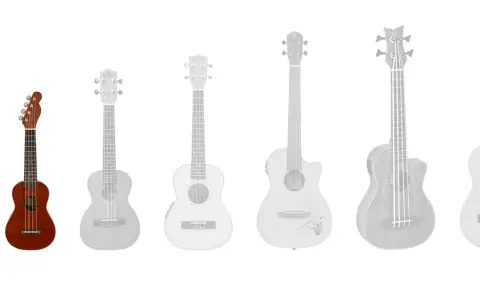 Verschiedene ukulele arten, von klein bis groß, mit einer braunen Ukulele im Vordergrund.