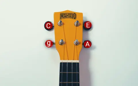 Mahalo Ukulele Kopfplatte mit Saiten C, E, G, A. Die unterschiedlichen ukulele saiten dicke sind für verschiedene Töne verantwortlich.