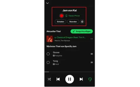 Spotify Jam Session von Kai: "Classical Dragon" läuft, "Goose" und "Yung" sind als nächste Titel gelistet.