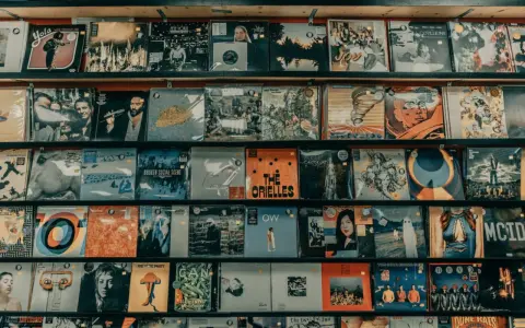 Regale voller Schallplatten, die zeigen, was sind Alben: Musik, Kunst und Erinnerungen.