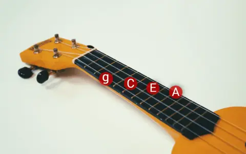 Nahaufnahme eines gelben Ukulelenhalses mit den Noten G, C, E, A als gitarrensaiten beschriftung auf roten Kreisen.