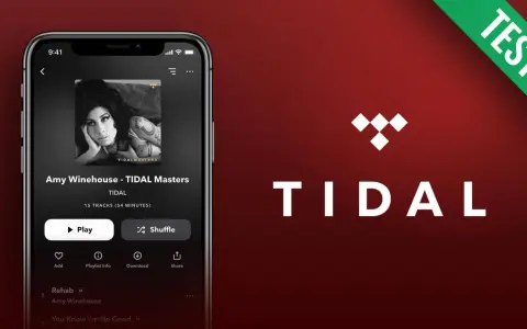Amy Winehouse Album auf dem Smartphone mit der Tidal App. Die App zeigt "Amy Winehouse - TIDAL Masters" an, bereit zum Abspielen.