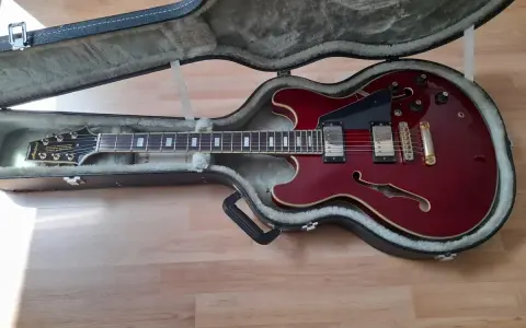 Rote E-Gitarre im Koffer, ein Beispiel für verschiedene E-Gitarrentypen, bereit für den Transport.