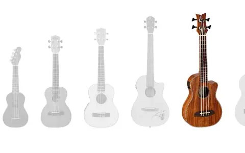 Eine Reihe von Ukulelen und einer Bassgitarre, ideal für die Musikschule.